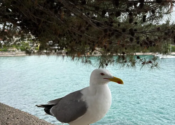 Maja Lejlighed Dobrinj